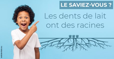 https://dr-tran-minh-hoa-cuc.chirurgiens-dentistes.fr/Les dents de lait 2
