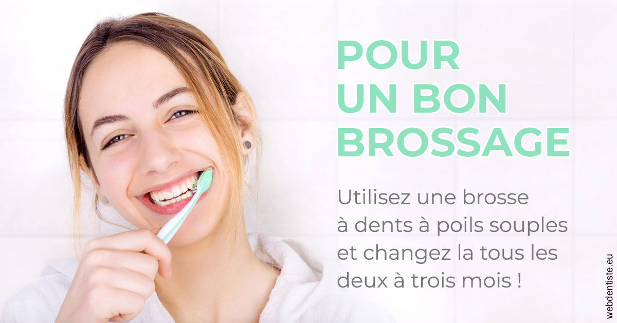 https://dr-tran-minh-hoa-cuc.chirurgiens-dentistes.fr/Pour un bon brossage 2