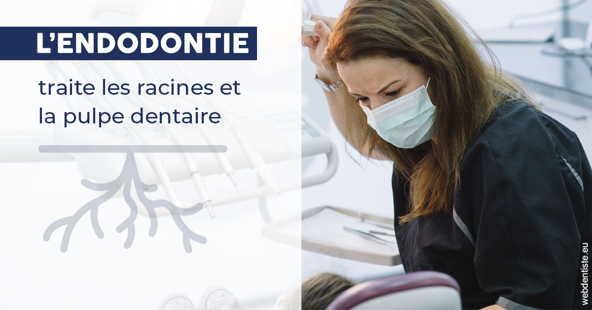 https://dr-tran-minh-hoa-cuc.chirurgiens-dentistes.fr/L'endodontie 1