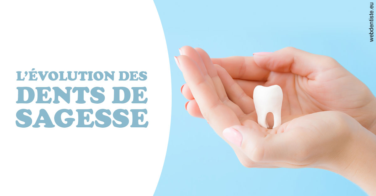 https://dr-tran-minh-hoa-cuc.chirurgiens-dentistes.fr/Evolution dents de sagesse 1