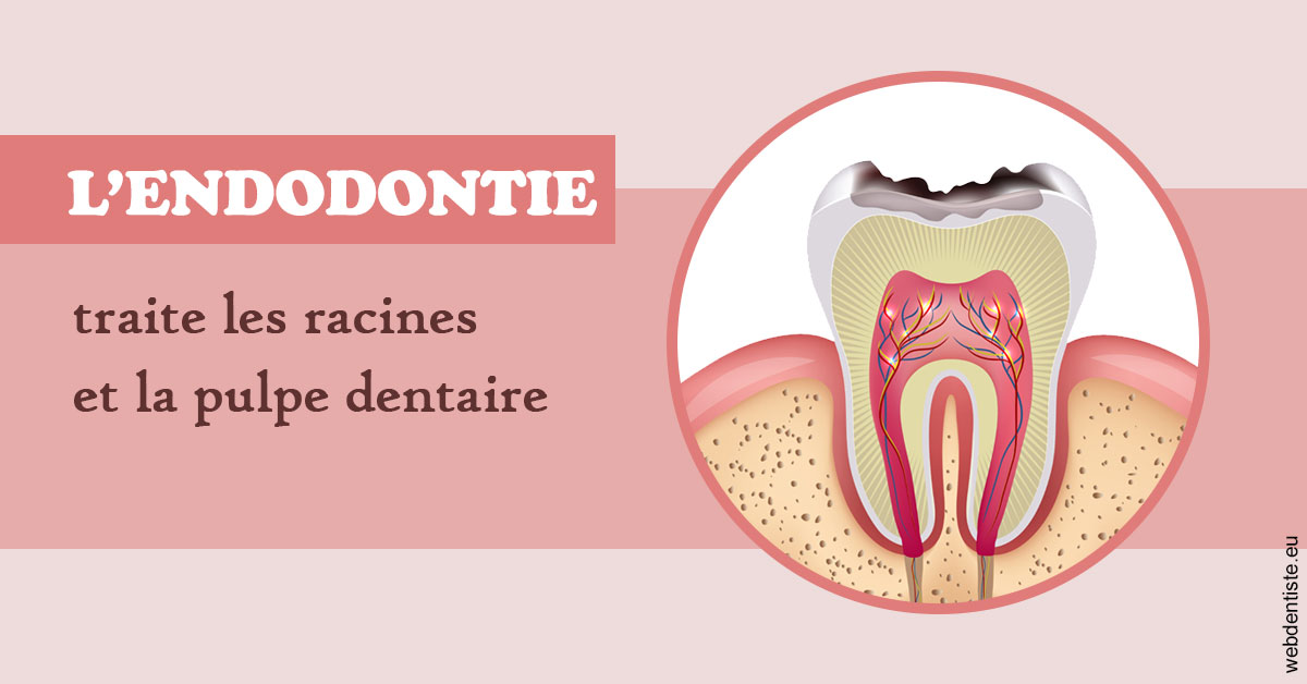 https://dr-tran-minh-hoa-cuc.chirurgiens-dentistes.fr/L'endodontie 2