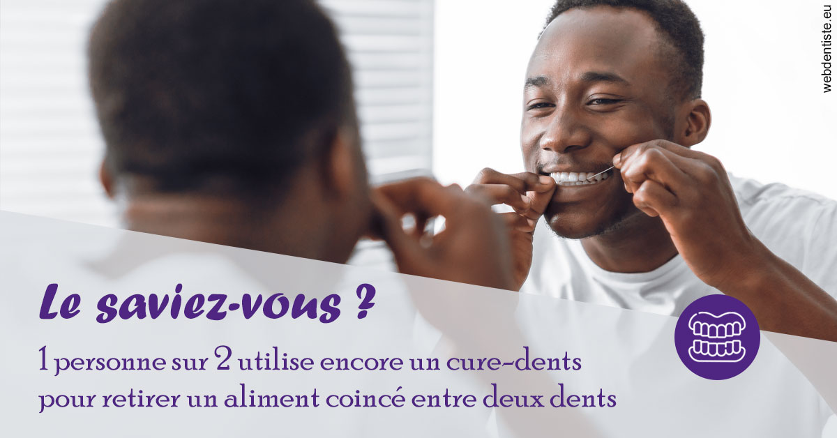 https://dr-tran-minh-hoa-cuc.chirurgiens-dentistes.fr/Cure-dents 2