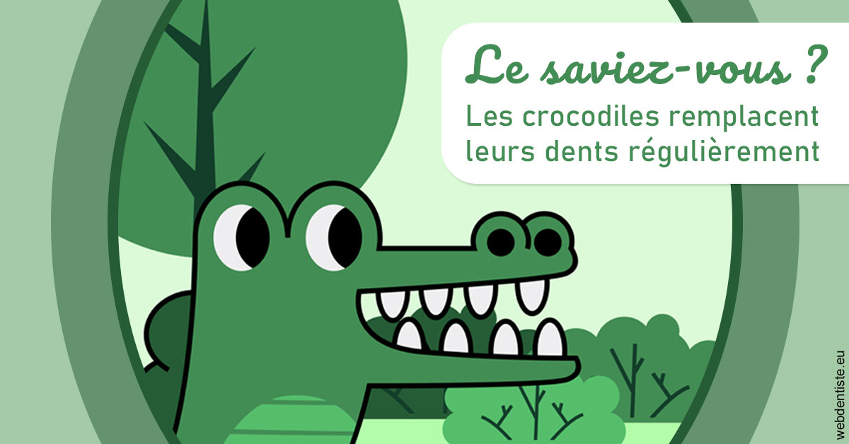 https://dr-tran-minh-hoa-cuc.chirurgiens-dentistes.fr/Crocodiles 2