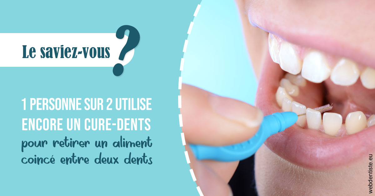 https://dr-tran-minh-hoa-cuc.chirurgiens-dentistes.fr/Cure-dents 1