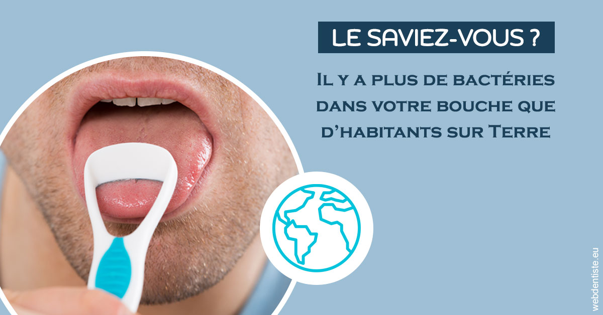https://dr-tran-minh-hoa-cuc.chirurgiens-dentistes.fr/Bactéries dans votre bouche 2